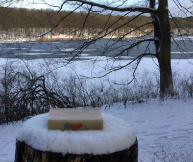 170501_Querformat_109_placement schlachtensee