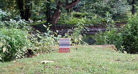 A vertical sign within a horizontal landscape picture