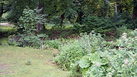 Placing a sculpture in nature