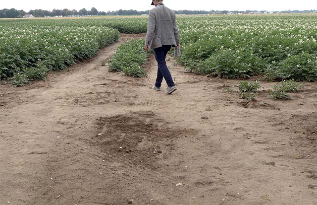 Placing 1B1B in a potato field.